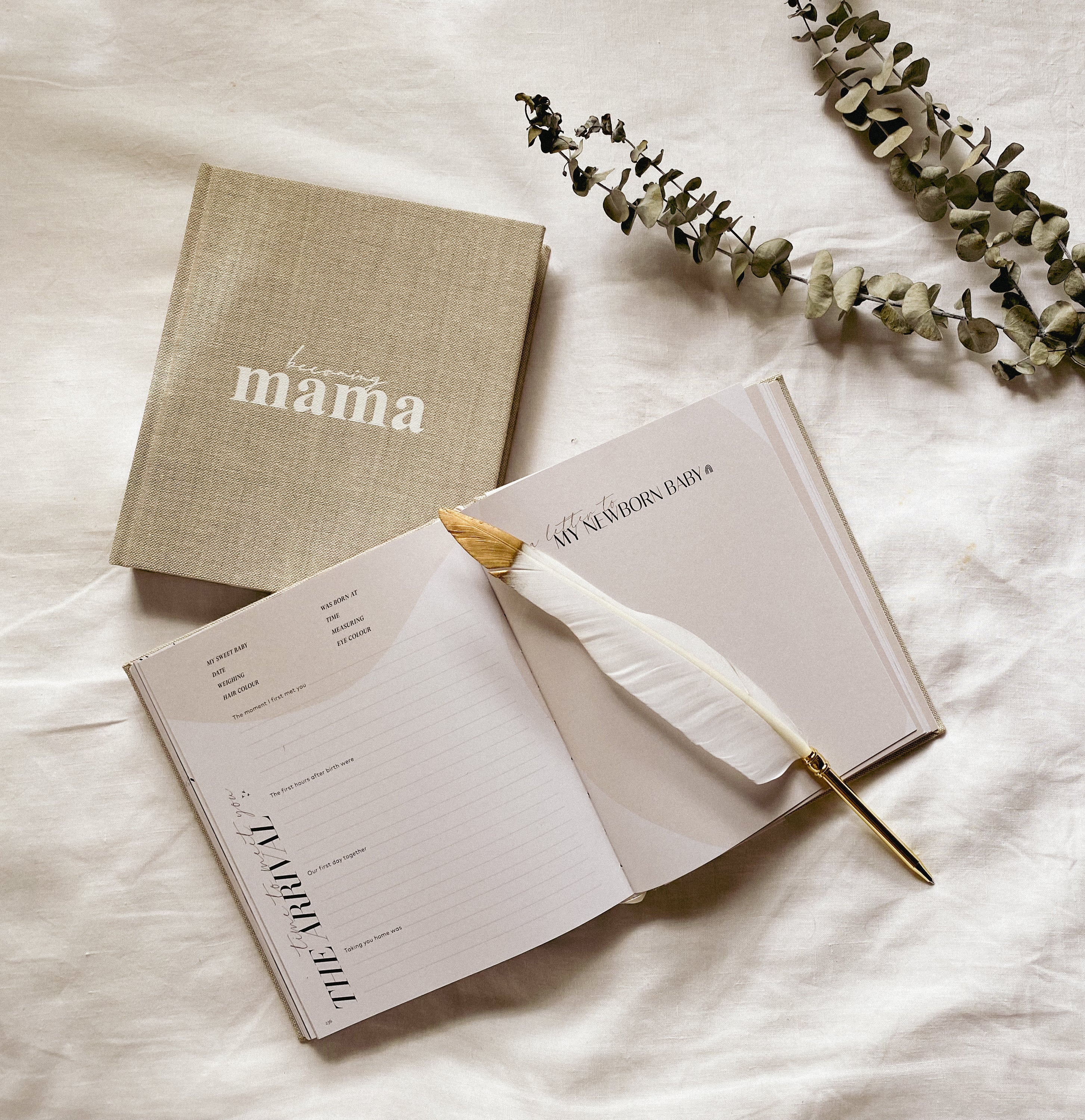 skin and senses Becoming Mama Pregnancy Journal
